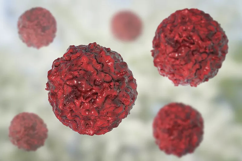 臍帶間充質(zhì)干細(xì)胞的生物學(xué)特點(diǎn)?