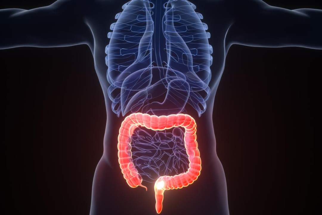 細胞免疫療法——讓“談癌色變”成為過去式