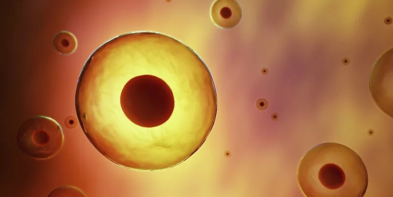 干細(xì)胞移植在治療自閉癥譜系障礙中的臨床研究