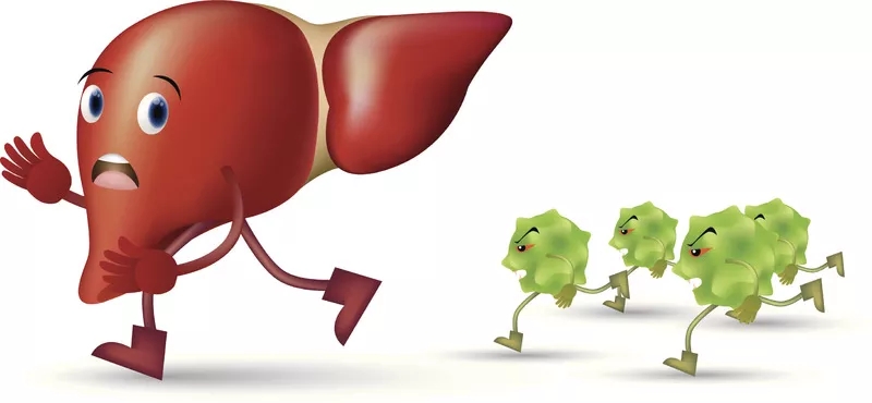 臍帶間充質(zhì)干細胞治療肝病的應用