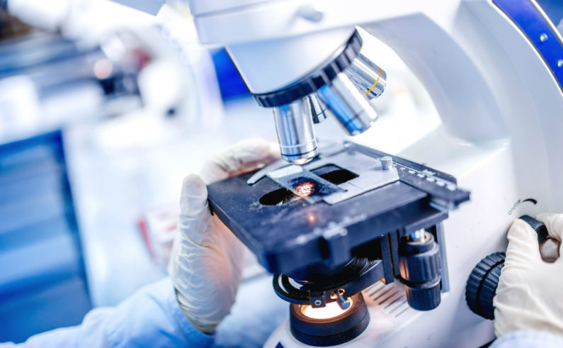 關于干細胞的臨床試驗細節有哪些？