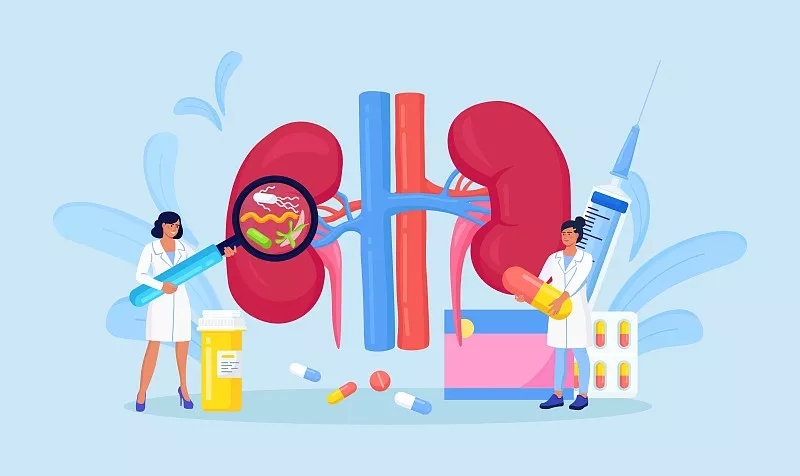 干細(xì)胞治療腎臟疾病的最新進(jìn)展