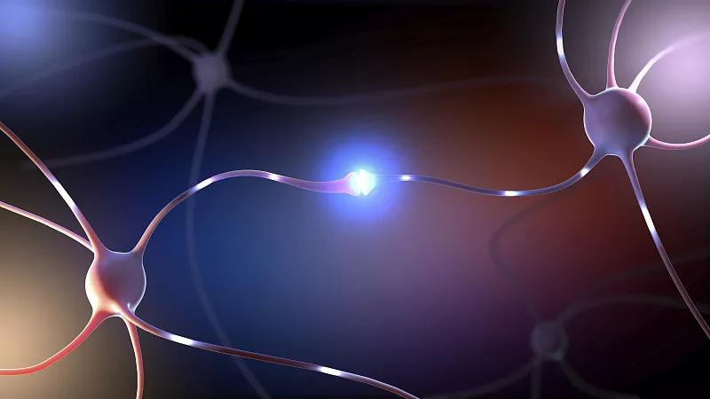 神經(jīng)干細(xì)胞移植治療中風(fēng)患者后運(yùn)動(dòng)功能恢復(fù)