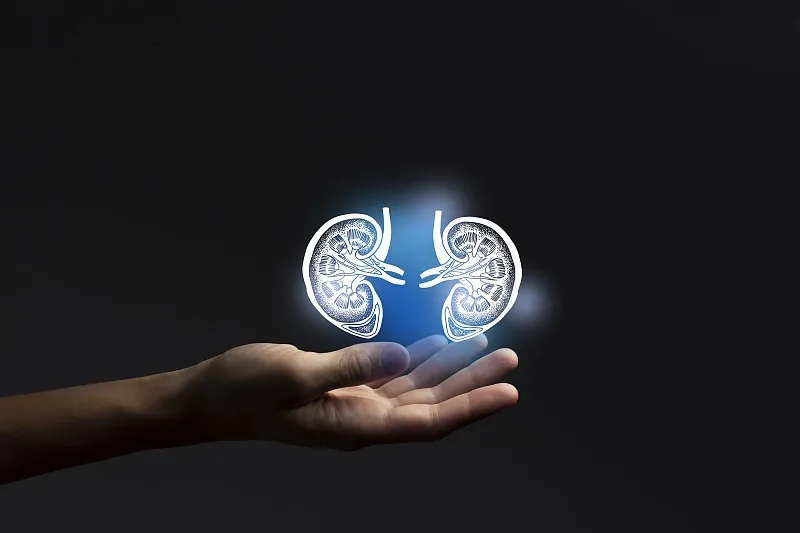 除了透析治療腎衰竭,還有什么治療方法? 除了透析治療腎衰竭,還有什么治療方法?