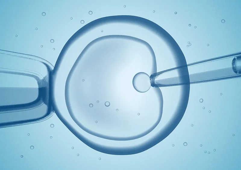 什么是干細胞移植和骨髓移植？