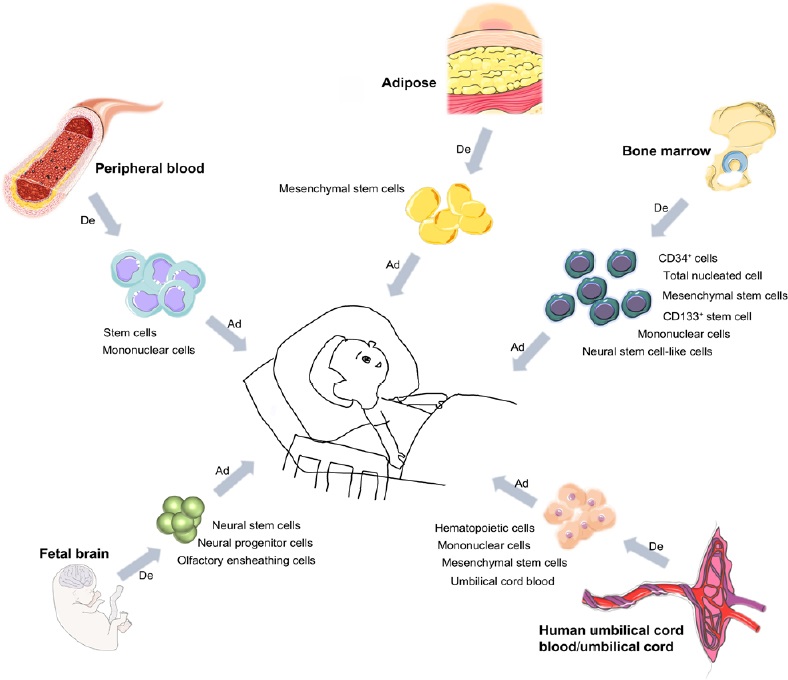 圖1:用于治療腦癱的干細胞類型 圖1:用于治療腦癱的干細胞類型