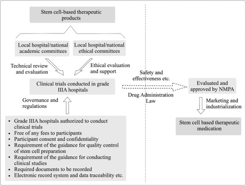 圖1。雙軌制監管體制運行模式