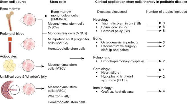 圖1:干細(xì)胞的來源和干細(xì)胞治療的臨床應(yīng)用。 圖1:干細(xì)胞的來源和干細(xì)胞治療的臨床應(yīng)用。