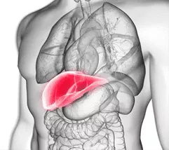 是什么原因?qū)е赂螕p傷? 是什么原因?qū)е赂螕p傷?