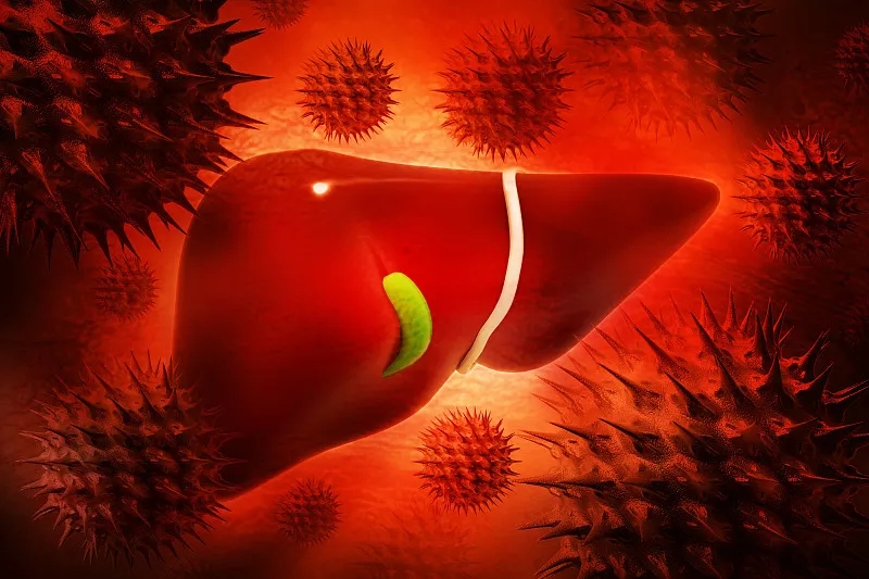 什么是乙型肝炎？