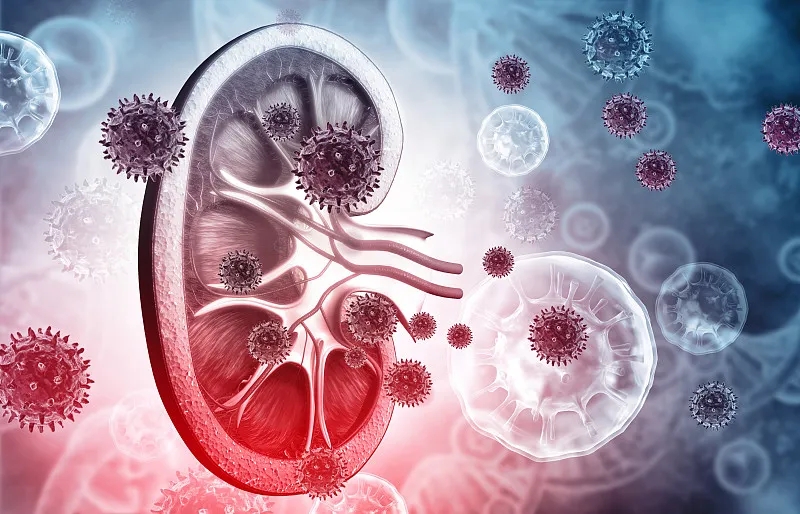 狼瘡性腎炎的體征和癥狀是什么？及其治療方法