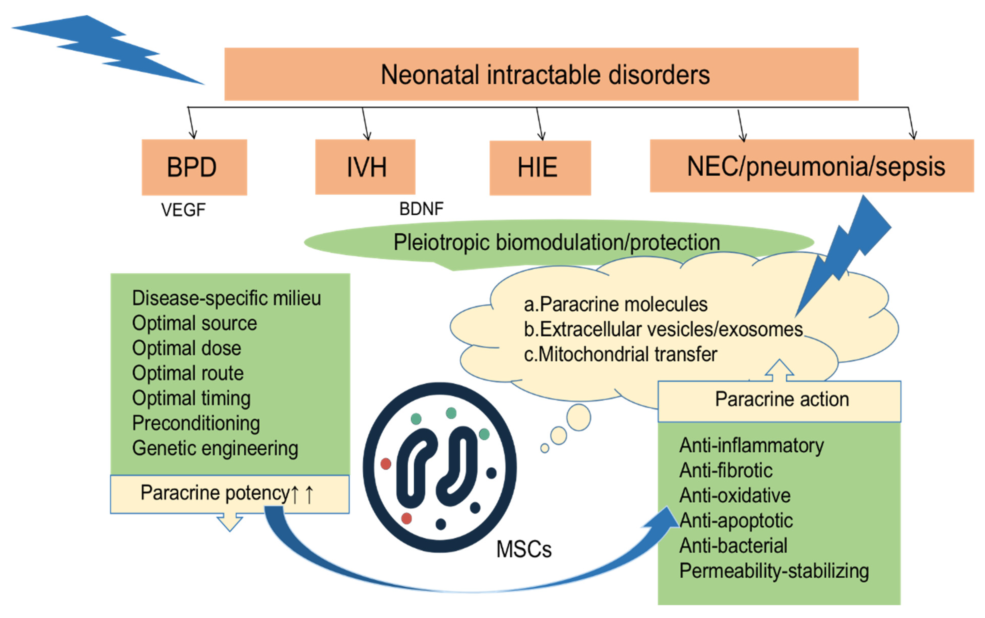圖2:MSCs局部或全身移植到各種組織損傷部位后,通過分泌多種因子發揮抗炎、抗纖維化、抗氧化、抗凋亡、抗菌、穩定通透性等旁分泌作用。 圖2:MSCs局部或全身移植到各種組織損傷部位后,通過分泌多種因子發揮抗炎、抗纖維化、抗氧化、抗凋亡、抗菌、穩定通透性等旁分泌作用。