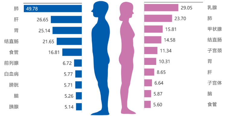 中山大學(xué)腫瘤防治中心揭示：免疫細(xì)胞治療，助最高發(fā)的5大癌癥患者重獲新生！
