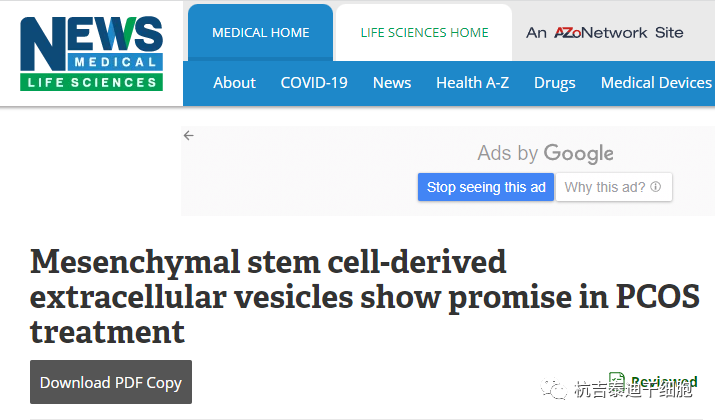 干細胞衍生的細胞外囊泡在多囊卵巢綜合癥治療中顯示出前景 干細胞衍生的細胞外囊泡在多囊卵巢綜合癥治療中顯示出前景