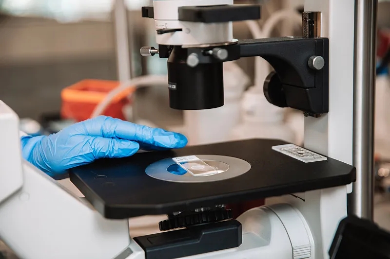 干細胞治療仍有疑慮 ?九大《專家共識》帶你洞悉干細胞的價值與地位 干細胞治療仍有疑慮 ?九大《專家共識》帶你洞悉干細胞的價值與地位