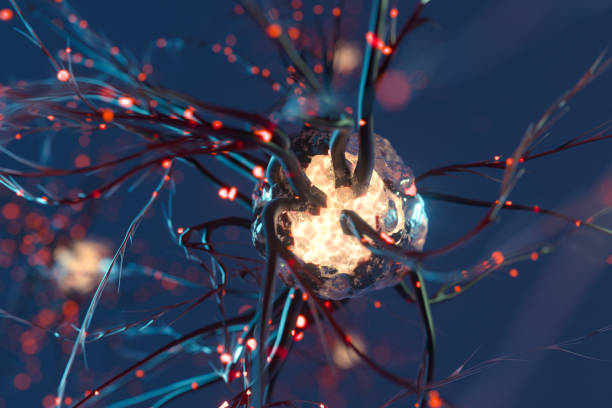 神經干細胞移植治療原發(fā)性扭轉肌張力障礙:一例報告 神經干細胞移植治療原發(fā)性扭轉肌張力障礙:一例報告