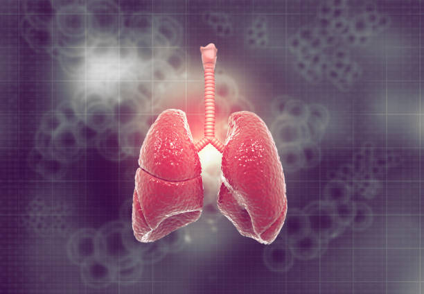 肺纖維化：干細(xì)胞治療是前進(jìn)的方向嗎？