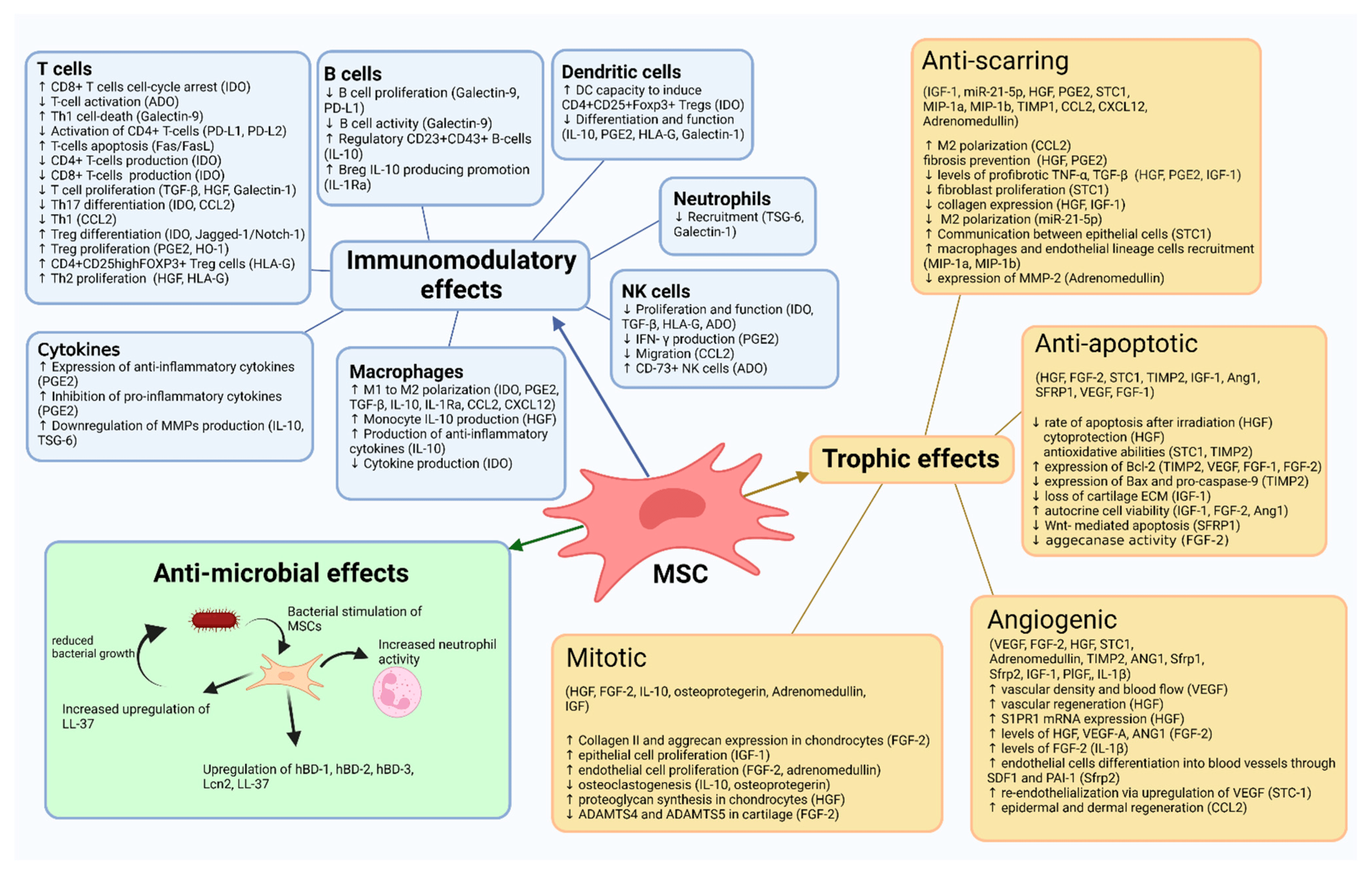 間充質(zhì)干細胞作用機制總結(jié) 間充質(zhì)干細胞作用機制總結(jié)