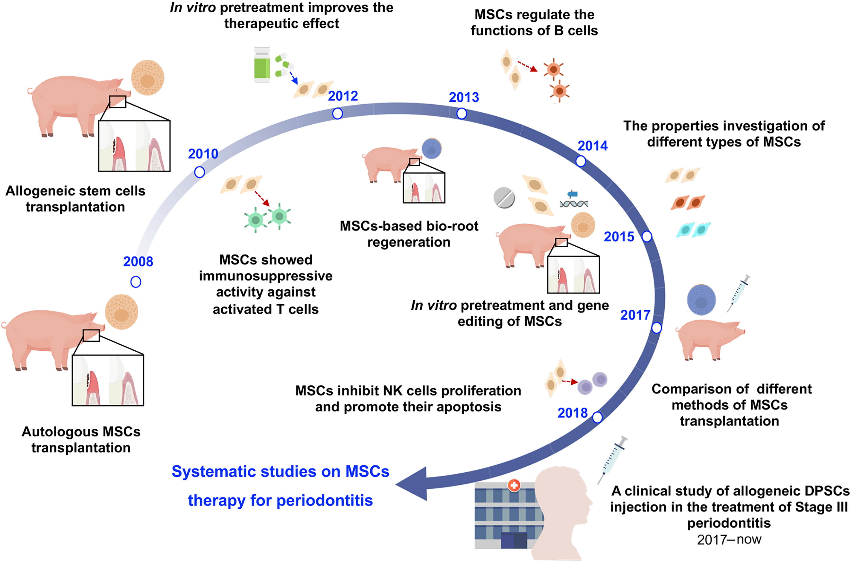 圖1:中國開發治療牙周炎的間充質干細胞藥物示意圖 圖1:中國開發治療牙周炎的間充質干細胞藥物示意圖