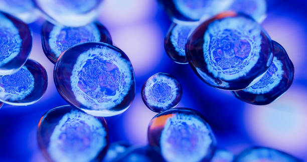 人間充質干細胞藥物的開發及臨床應用 人間充質干細胞藥物的開發及臨床應用