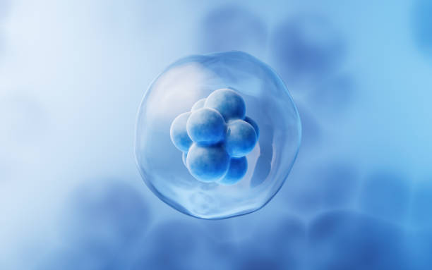 關于干細胞方面經常問的問題有哪些？