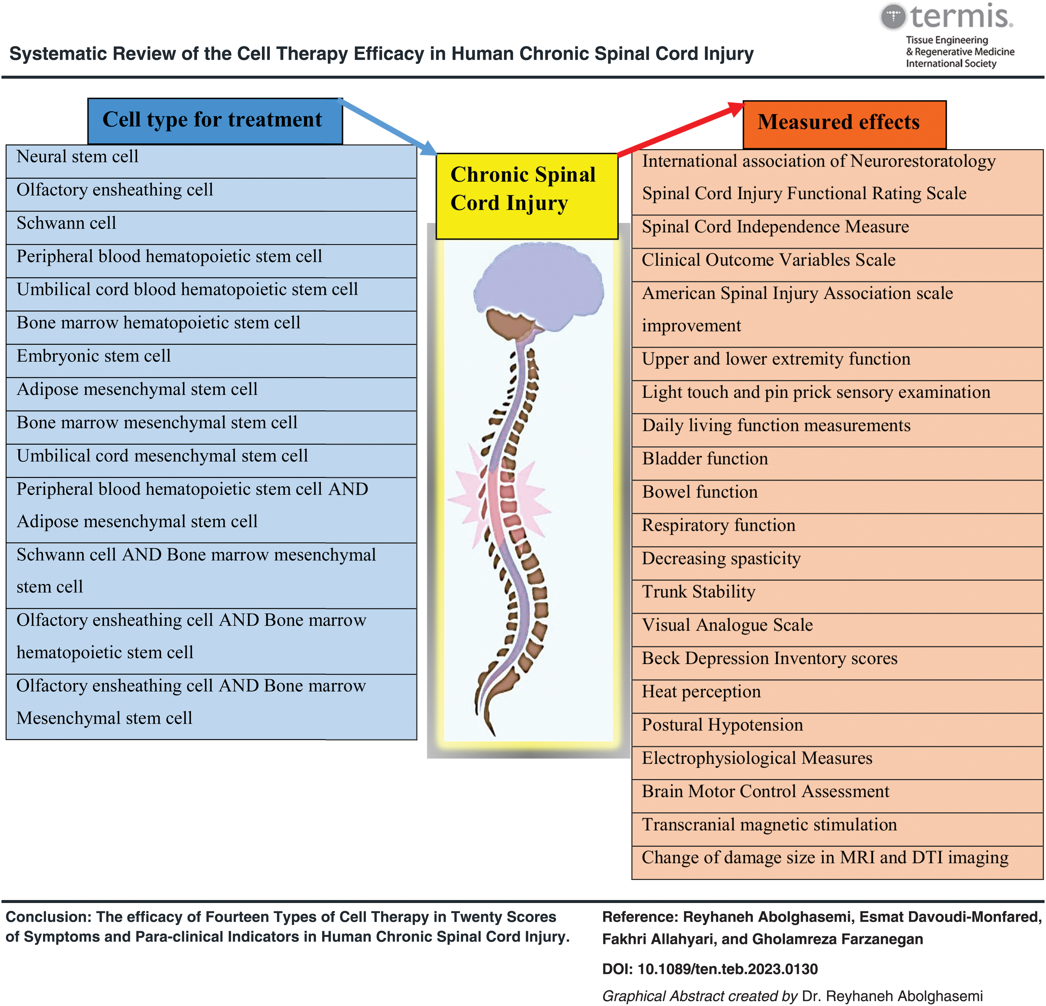 干細胞療法對人類慢性脊髓損傷療效的系統性綜述
