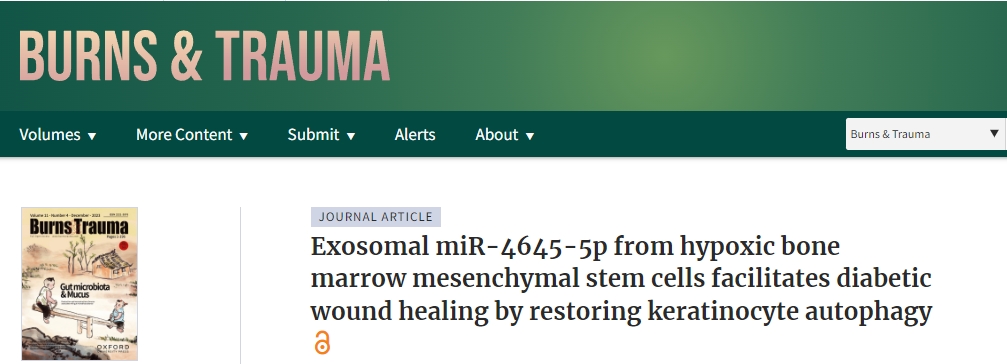 我國(guó)研究人員開創(chuàng)了用于糖尿病傷口愈合的新型干細(xì)胞療法