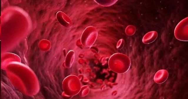 我國干細胞療法未來可期 我國干細胞療法未來可期