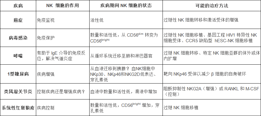 NK細胞：在抗擊不同疾病中發揮的作用！