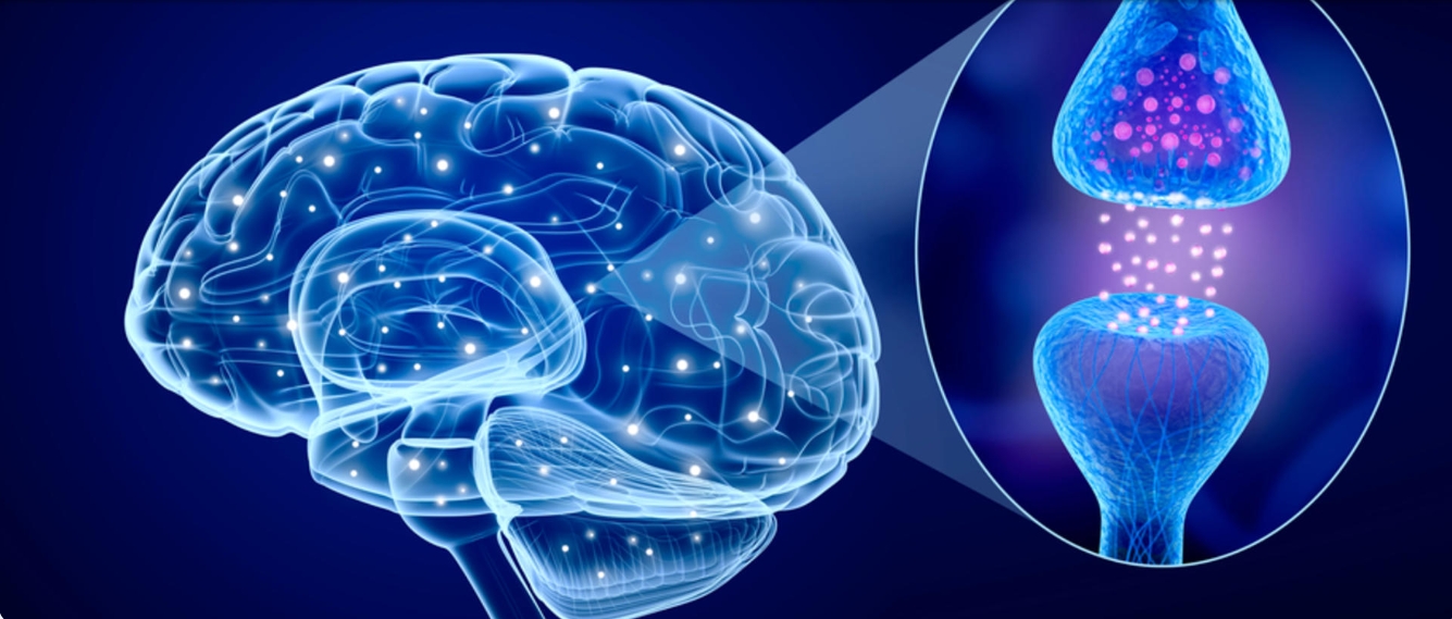 早期干細胞治療帕金森病試驗公布積極結果