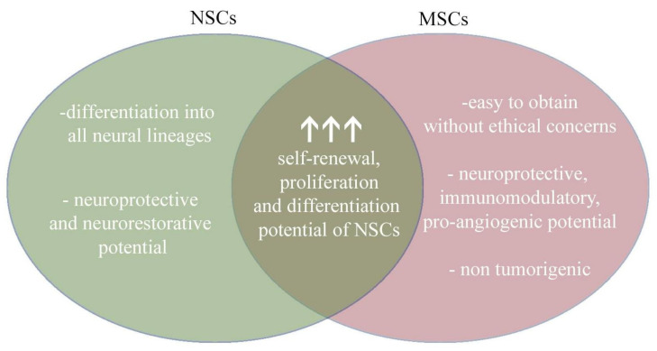 圖4：將神經(jīng)干細(xì)胞和間充質(zhì)干細(xì)胞的治療益處相結(jié)合，為治療提供了新的視角。