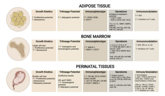 △?UC-MSC、AT-MSC及BM-MSC生物差異性對比，圖中額外增加表面標(biāo)志物對比