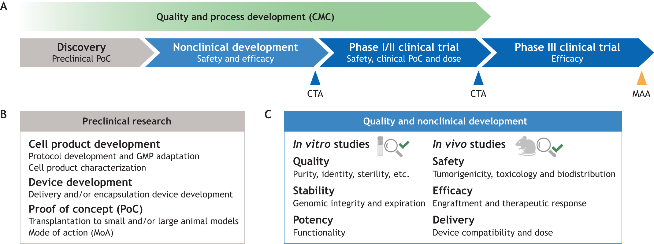 圖1:將細胞療法應(yīng)用于臨床的步驟。 圖1:將細胞療法應(yīng)用于臨床的步驟。