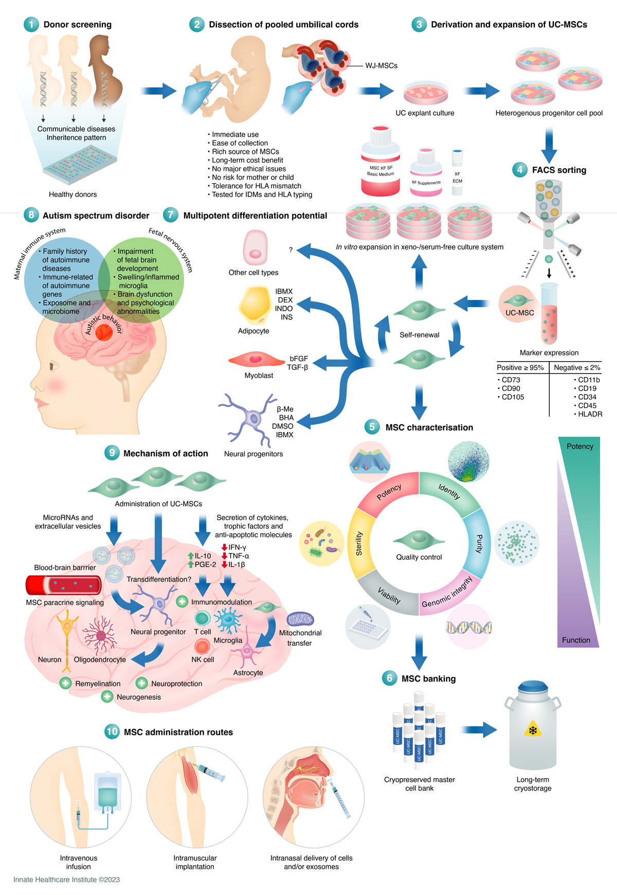 干細胞采集過程是什么樣的?干細胞如何移植治療自閉癥? 干細胞采集過程是什么樣的?干細胞如何移植治療自閉癥?