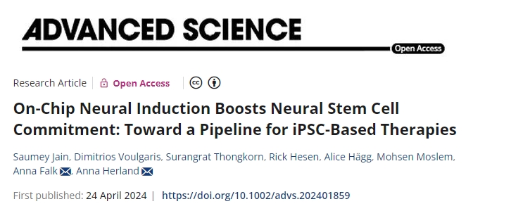 片上神經誘導增強了神經干細胞的承諾：邁向基于iPSC的療法的管道