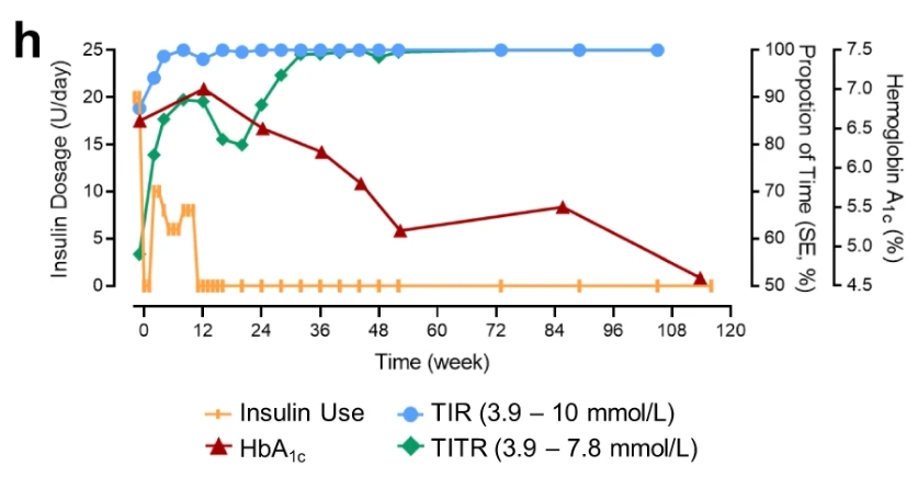 116周期間 TITR、TIR 和 HbA1c 以及胰島素劑量的臨床測(cè)量值