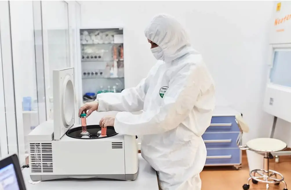 干細(xì)胞分化