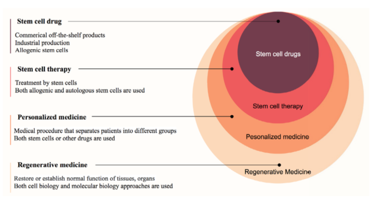 圖1:再生醫學中的干細胞藥物 圖1:再生醫學中的干細胞藥物