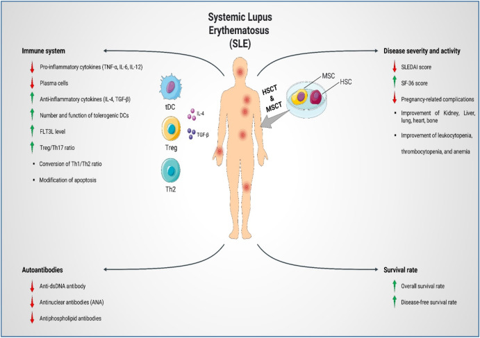 圖1:SLE患者的疾病發病機制、嚴重程度和活動性。 圖1:SLE患者的疾病發病機制、嚴重程度和活動性。