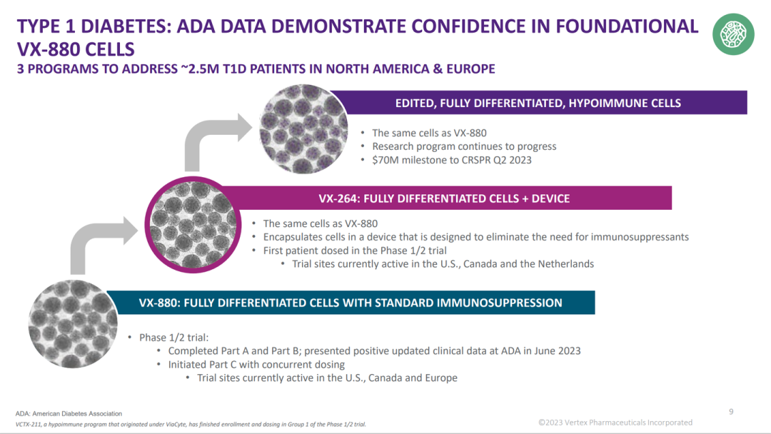 圖1:VERTEX糖尿病干細胞管線 圖1:VERTEX糖尿病干細胞管線