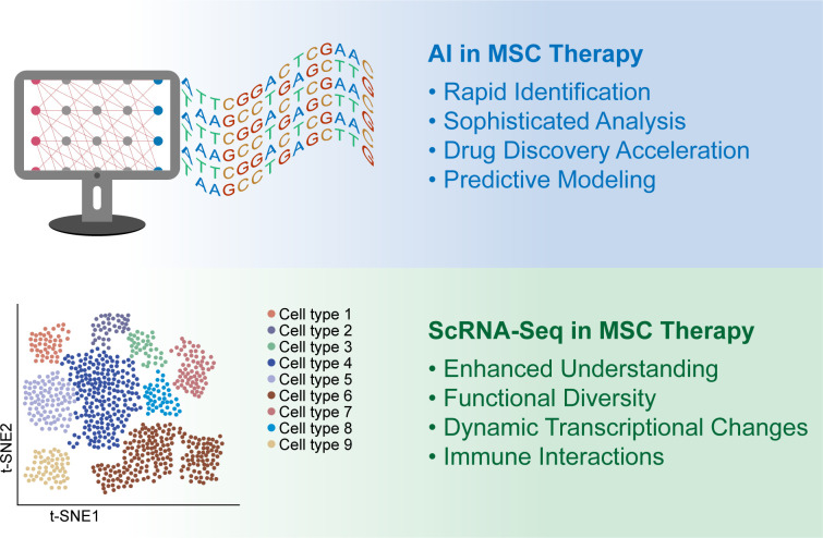 圖1:人工智能 (AI) 和單細胞RNA測序 (scRNA-seq) 用于增強間充質(zhì)干細胞 (MSC) 的臨床應(yīng)用。 圖1:人工智能 (AI) 和單細胞RNA測序 (scRNA-seq) 用于增強間充質(zhì)干細胞 (MSC) 的臨床應(yīng)用。