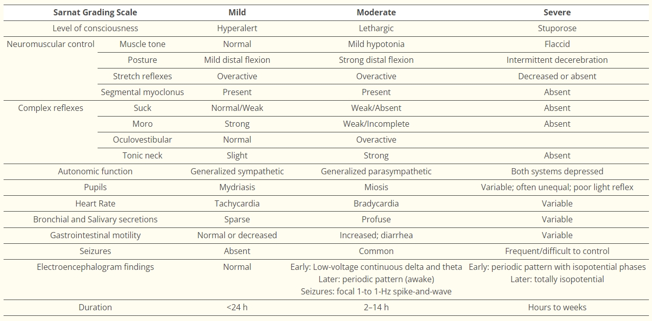 表格1：Sarnat分類。