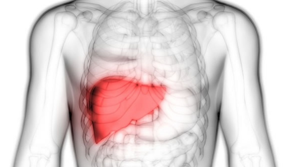 面對(duì)肝衰竭，你知道如何選擇最佳治療方案嗎？