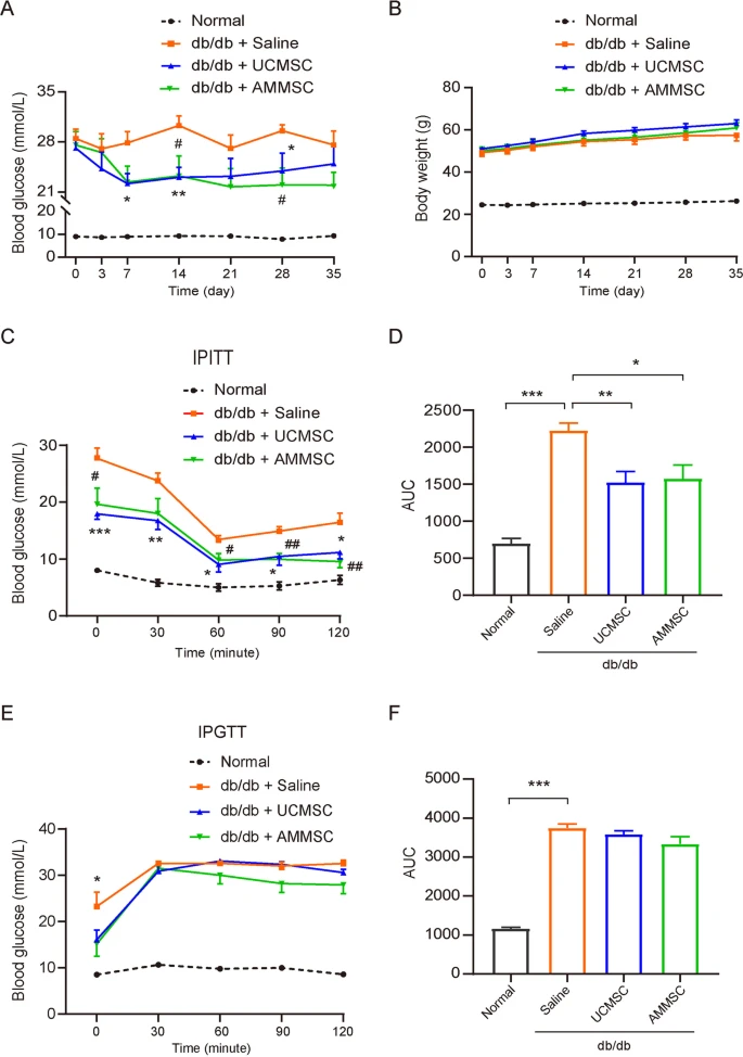 圖1:小鼠在AMMSC或UCMSC給藥后的代謝表型。 圖1:小鼠在AMMSC或UCMSC給藥后的代謝表型。