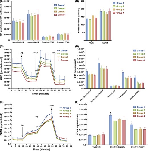 圖3：從對照組和2型糖尿病 (T2DM) 患者中分離的骨髓間充質干細胞 (BM-MSC) 的代謝概況。