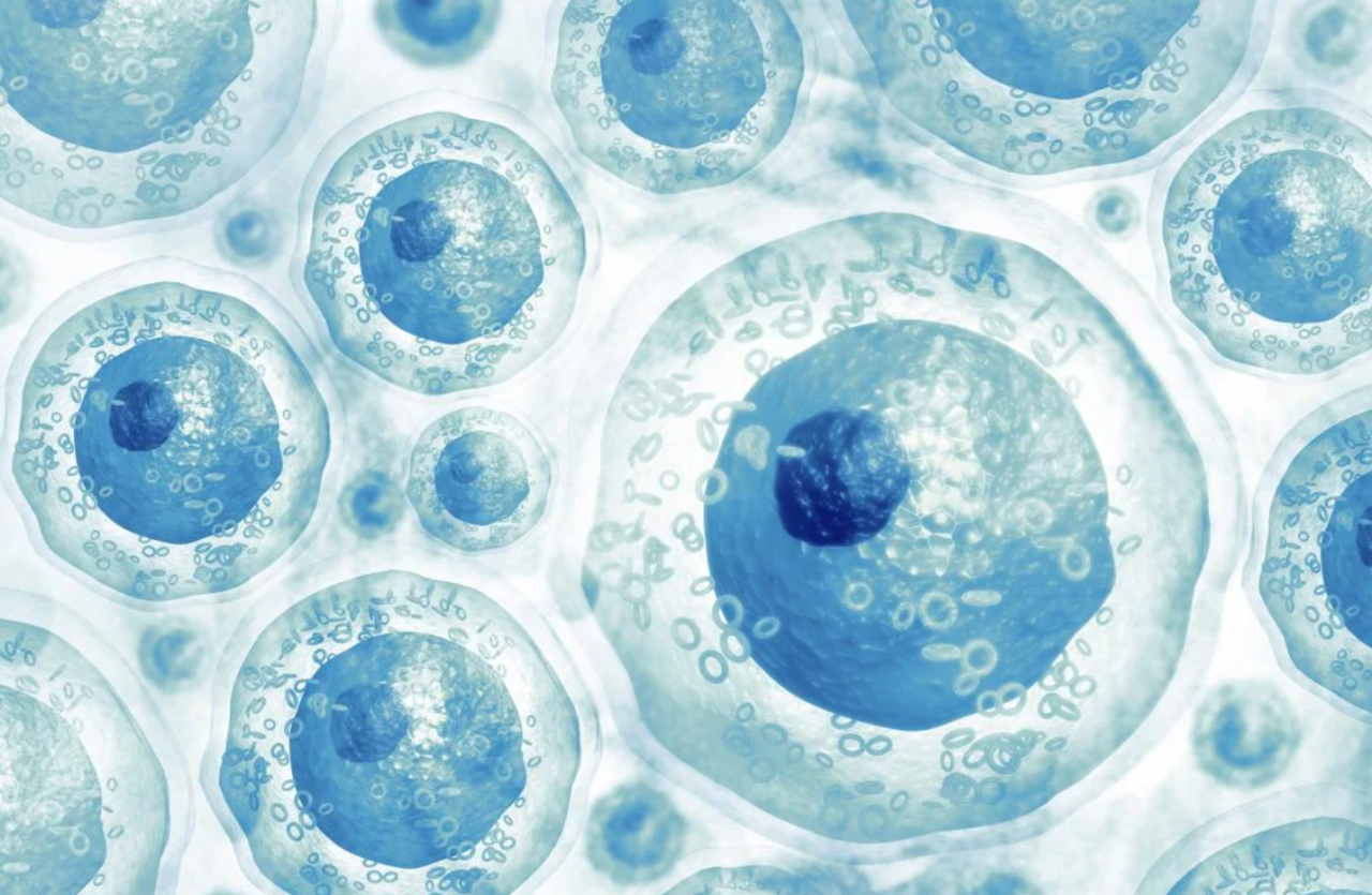 又增加一項!2024年中國已有13部干細胞治療相關專家共識! 又增加一項!2024年中國已有13部干細胞治療相關專家共識!