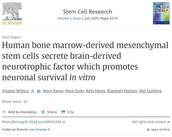 人類骨髓間充質(zhì)干細胞分泌腦源性神經(jīng)營養(yǎng)因子，促進體外神經(jīng)元存活