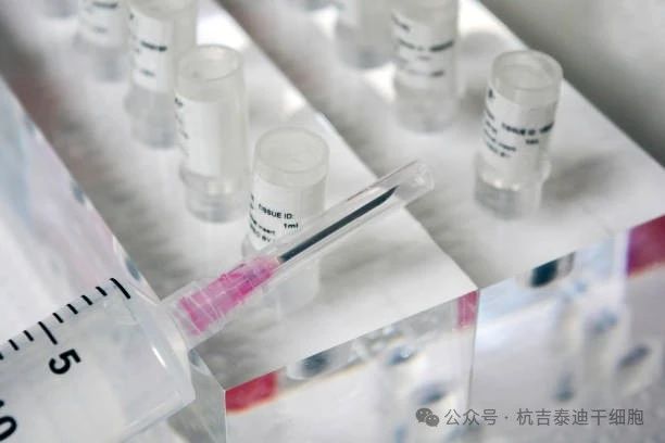 優化間充質干細胞移植的給藥途徑和常用劑量：現狀和新前沿