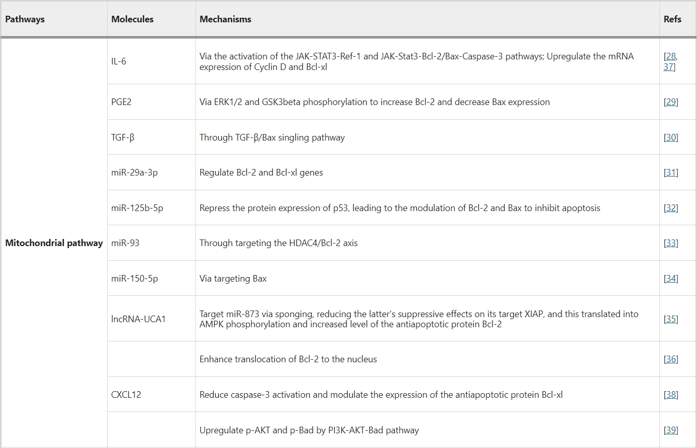 內源性途徑（線粒體通路）