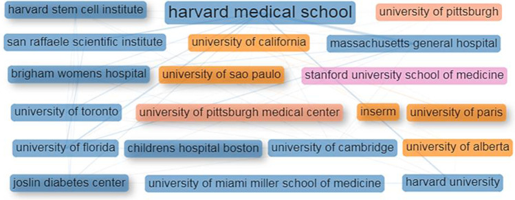 圖4:干細胞治療1型糖尿病研究的主要機構的合作網(wǎng)絡。 圖4:干細胞治療1型糖尿病研究的主要機構的合作網(wǎng)絡。